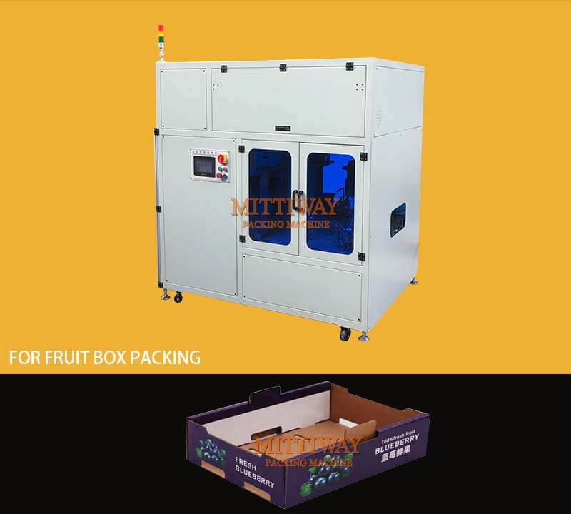 BLUEBERRY TRAY ERECTING MACHINE