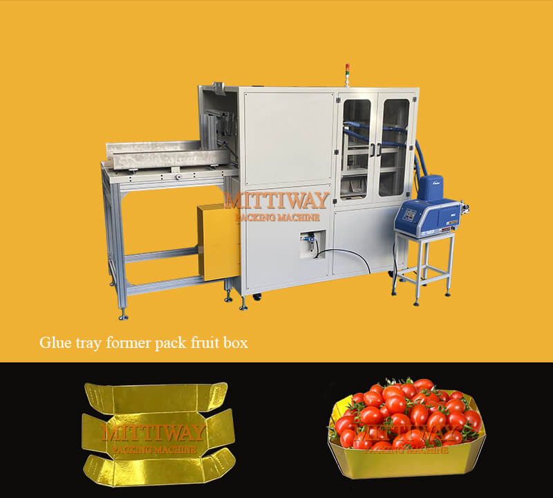 FRUIT TRAY FOLDING MACHINE