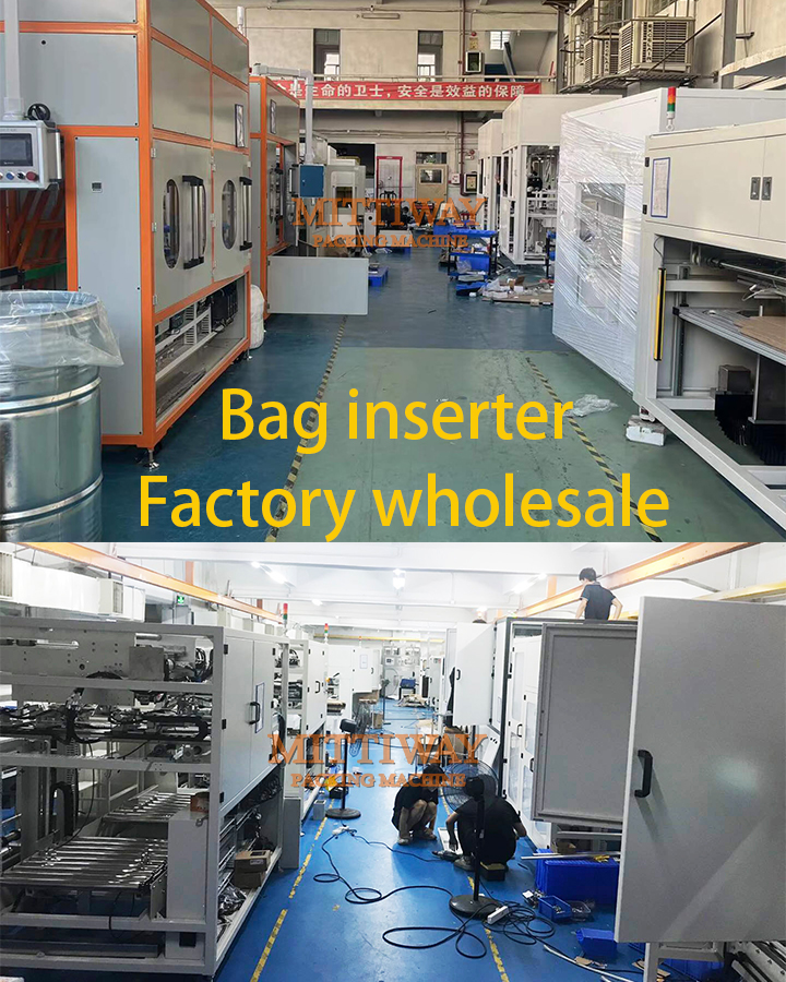 New energy bag in box inserter packaging line