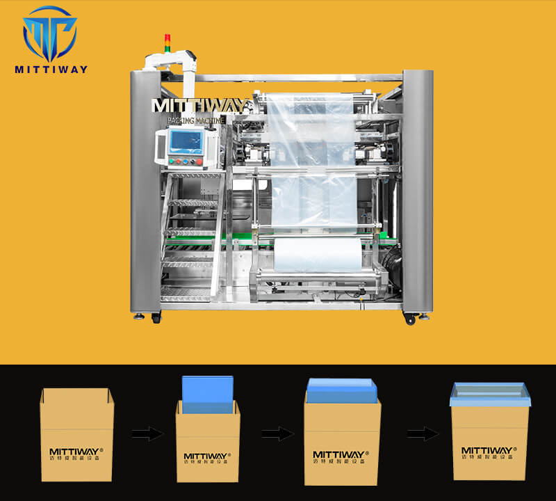 FROZEN FOOD PACKAGING BAG INSERTER