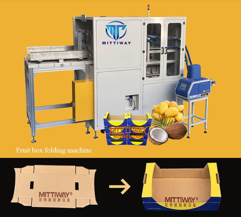 FRUIT TRAY FORMER BOX FOLDING MACHINE